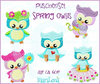Puschen Set Spring Owlis